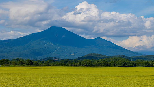 福島の日本酒・地域別ガイド｜第3回 会津編：酒蔵が集まる理由と味わいの傾向