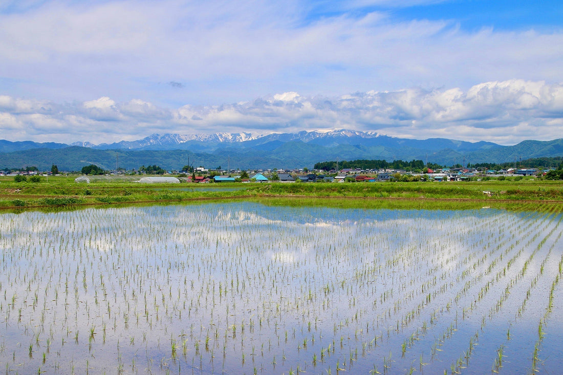 特別編｜福島の酒どころを読み解く｜GI南会津・GI喜多方とは？