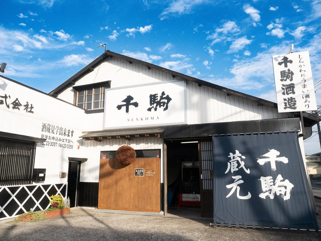 伝統をつなぎ、挑戦を重ねる酒蔵へ─千駒酒造が描く“次の一歩”