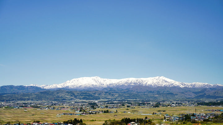 【第2回】福島の酒どころを読み解く｜喜多方編：「蔵のまち」に地酒と発酵文化が根づいた理由