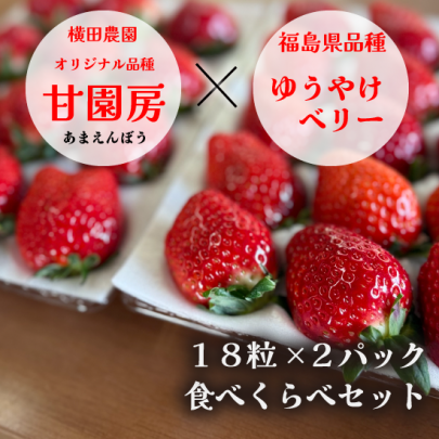 食べ比べ 甘園房＆ゆうやけベリー 18粒
