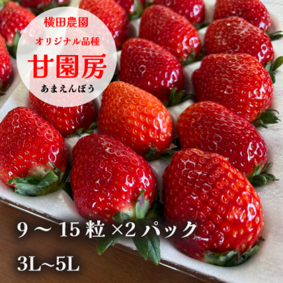 オリジナルブランドいちご 甘園房 9～15粒×2パック 3L~5L