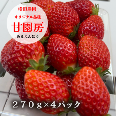 オリジナルブランドいちご 甘園房 270g×4パック
