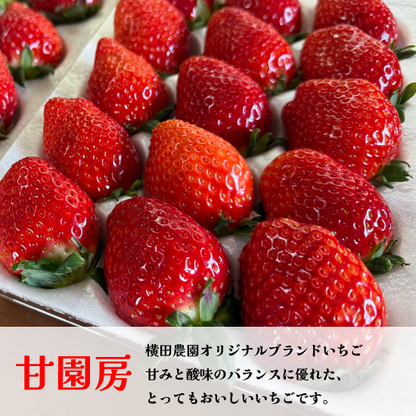 オリジナルブランドいちご 甘園房 270g×4パック