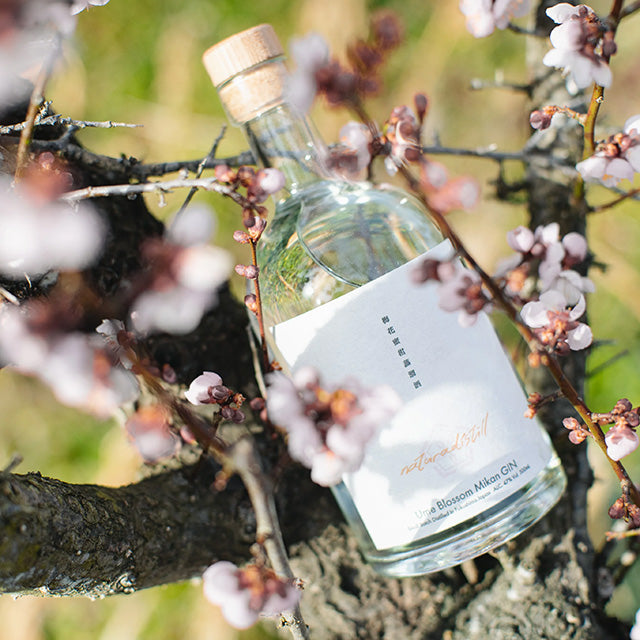 naturadistill梅花蜜柑蒸溜酒　Ume blossom Mikan GIN　500ml